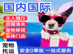 大庆萨尔图空运地址国际宠物托运 【国